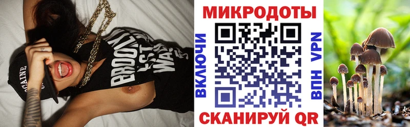 Галлюциногенные грибы прущие грибы  Саянск 