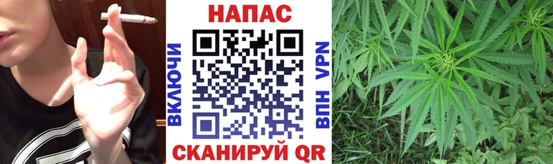 Шишки марихуана марихуана  Саянск 